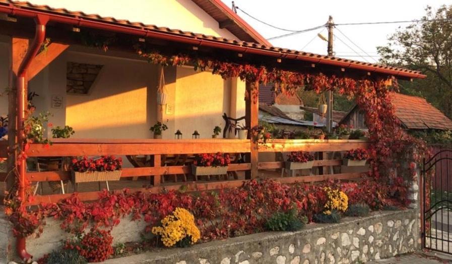 Casa De Vacanta Potoc Eksteriør billede