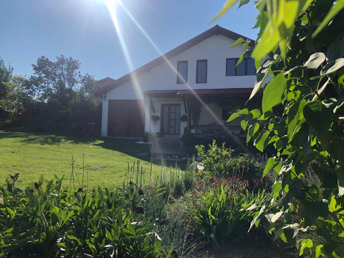 Casa De Vacanta Potoc Eksteriør billede