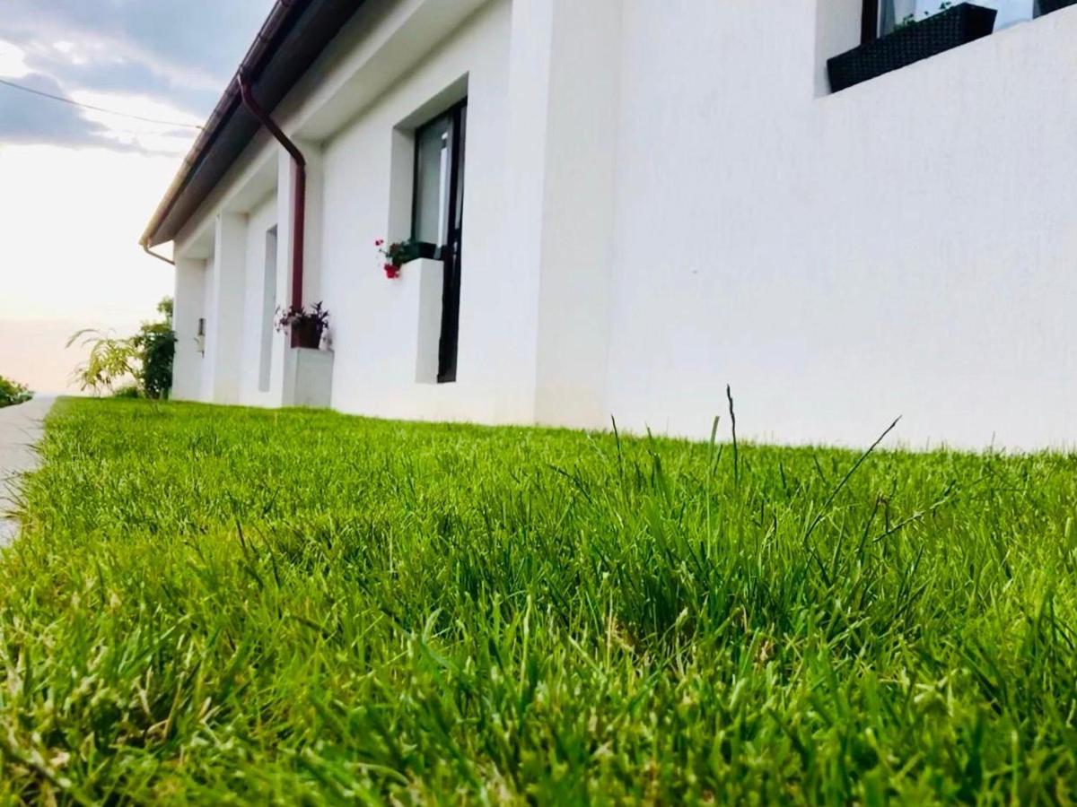 Casa De Vacanta Potoc Eksteriør billede